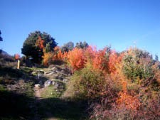 Le sentier botanique