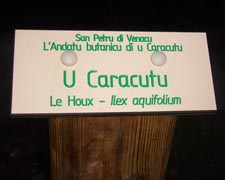 U Caracutu